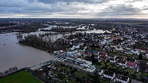 Leinemasch